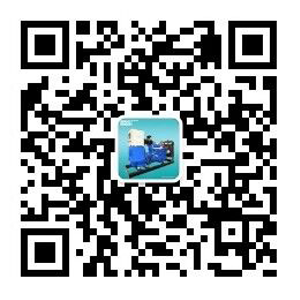 濰坊華東發動機有限公司（www.域名.com）